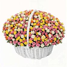 Премиум букет из: Розы в Просянке