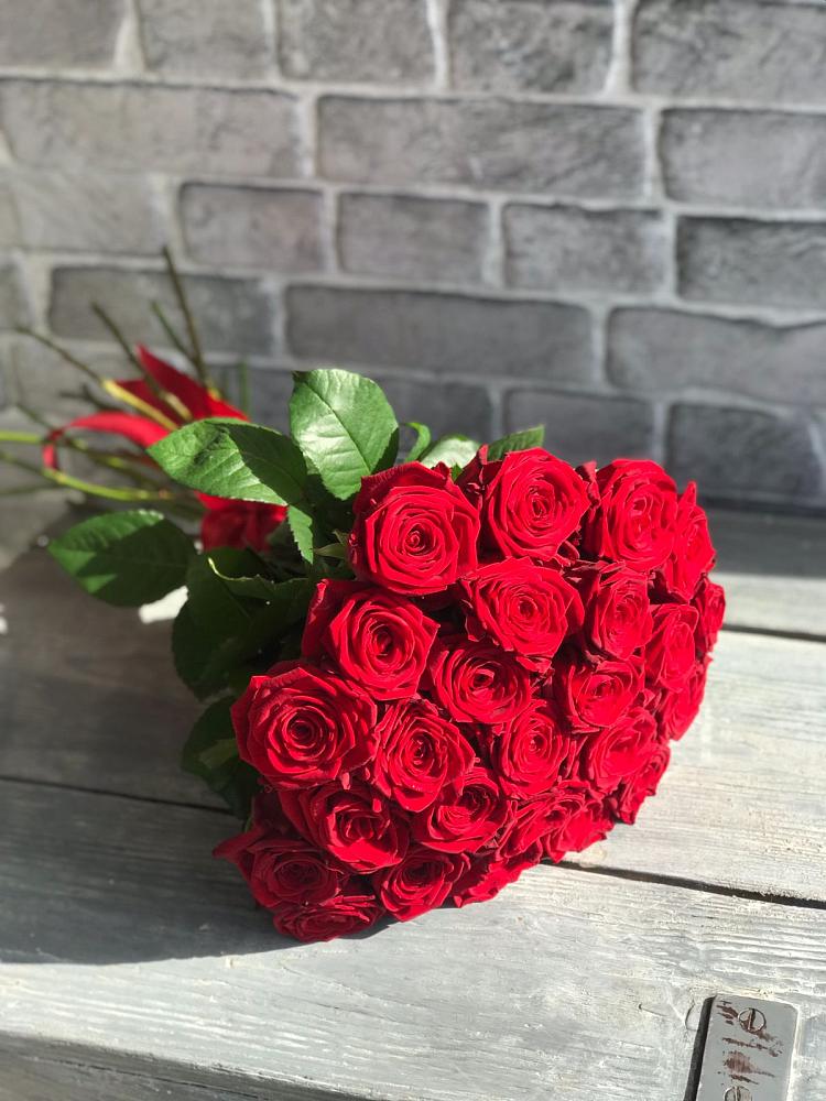 Букет Красные розы Фридом в Просянке